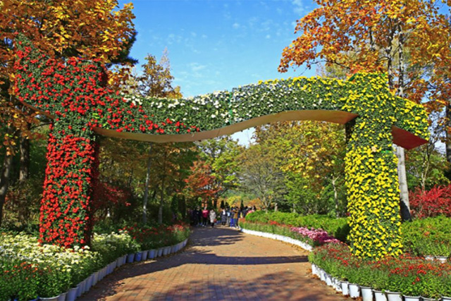 Daegu Arboretum