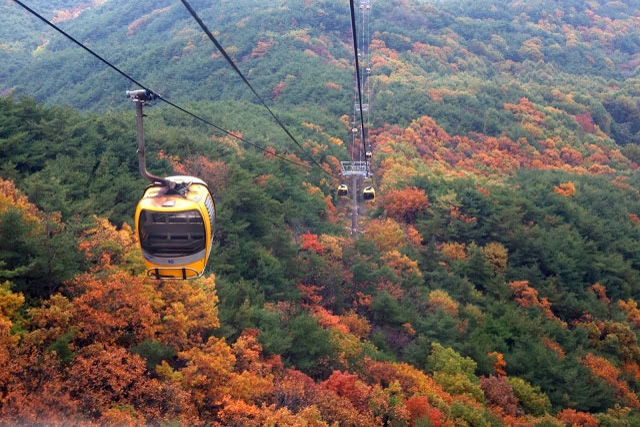 Palgongsan Cable Car