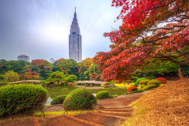 Shinjuku Gyoen National Garden