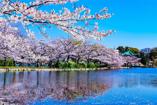 Ueno Park